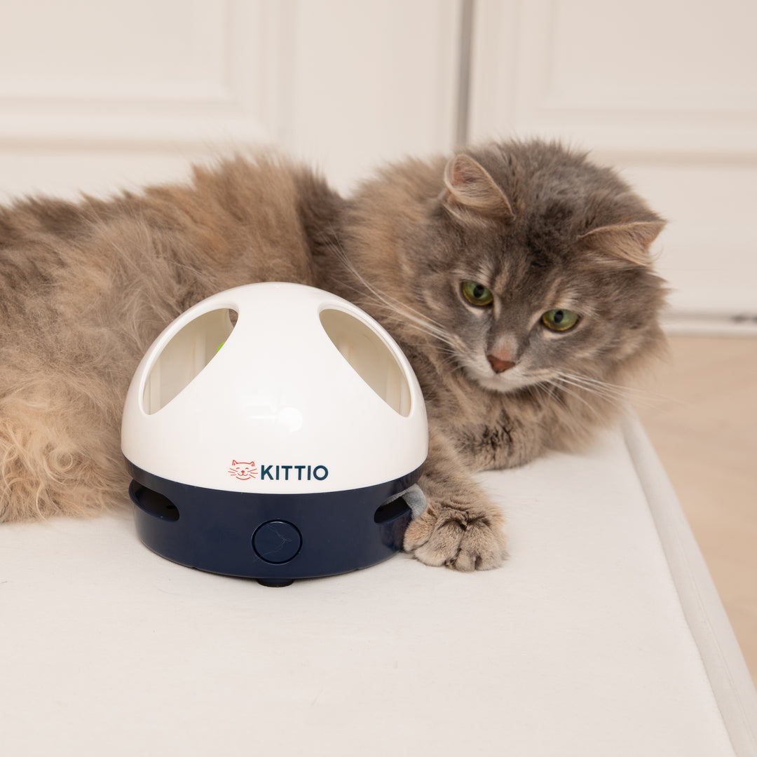 Kittio – Cat Toys With Purpose