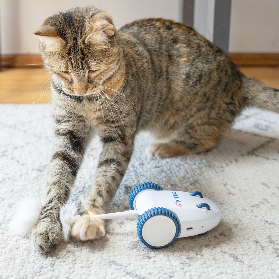 Kittio Robo Mouse, Interactive Cat Toy, Automatic Mouse Chase Toy